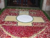 DSCF8804