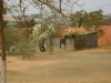 luanda-038