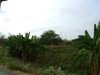 luanda-114