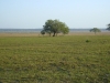 luanda-236