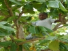 paolo-luanda-2-023