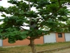 paolo-luanda-2-024